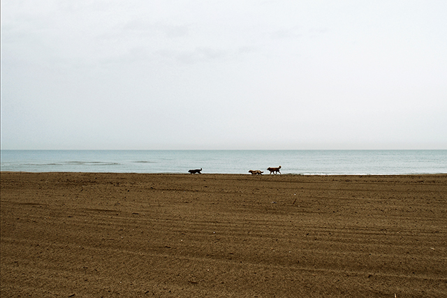 © Mauro Quirini, dalla serie "Non ricordo dove", 23 aprile 2014