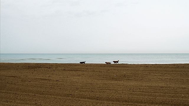 © Mauro Quirini, dalla serie "Non ricordo dove", 23 aprile 2014