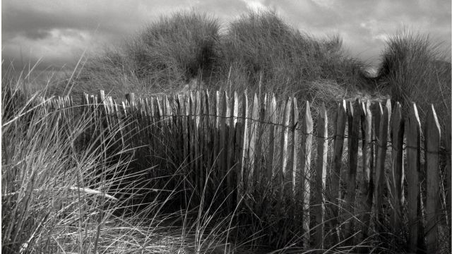 © Stefano Di Marco, "Normandia", 2004