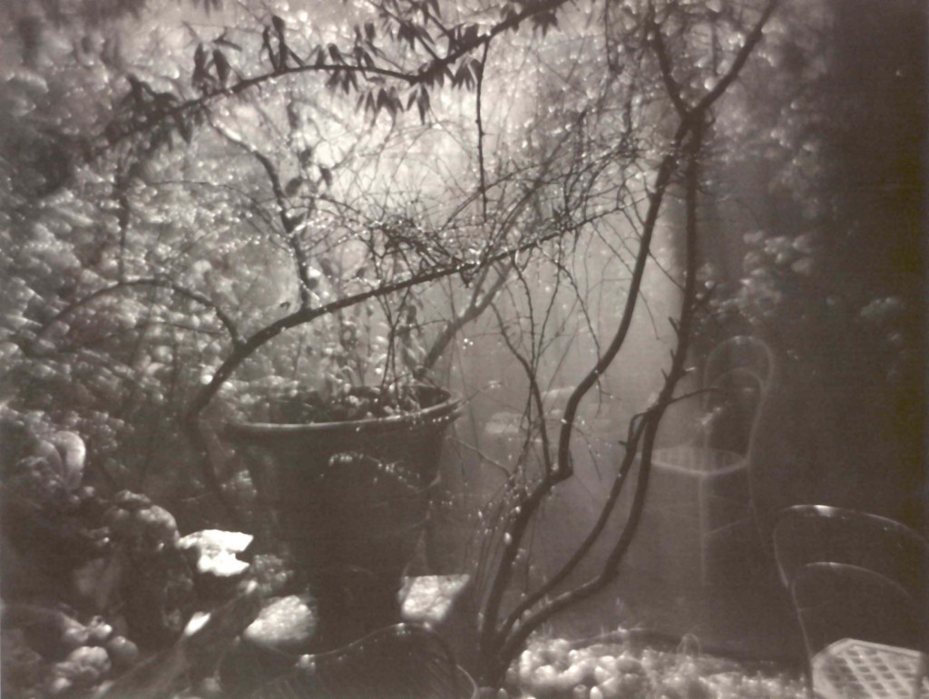 © Joseph Sudek, The Magic Garden during a Summer Shower, 1954-1959